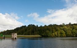 Trails and Tales Short Walks in the Dublin Mountains. Product thumbnail image